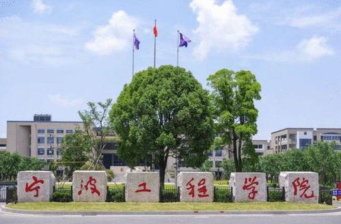 宁波工程学院 吃瓜,揭秘校园“吃瓜”文化现象