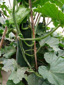 娱乐头条 第3页