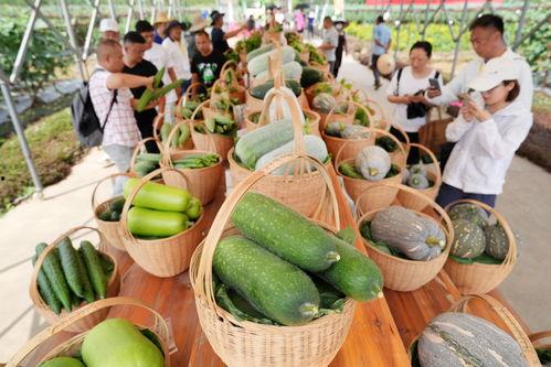 新时代吃瓜,揭秘网络舆论场中的新现象