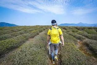 四少徒步吃瓜,边走边吃瓜,探寻人生百态