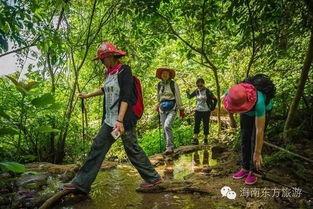 四少徒步吃瓜,边走边吃瓜,探寻人生百态