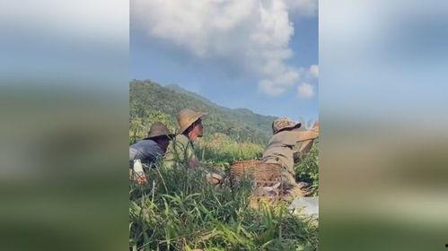 大娘打仗吃瓜图片