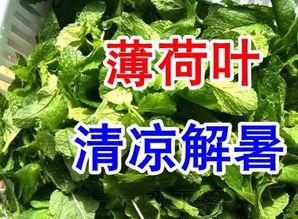 入伏吃三瓜图片,清凉一夏，健康相伴