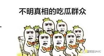 不懂吃瓜的你们,揭秘“不懂吃瓜”群体的独特视角与生活态度