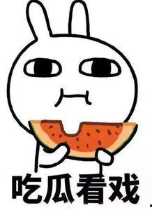 不懂吃瓜的你们,揭秘“不懂吃瓜”群体的独特视角与生活态度