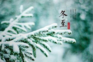 下雪天吃瓜句子