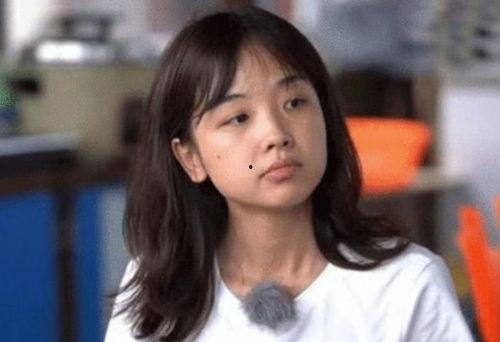 吃瓜女记者,幕后真相与娱乐界的风云变幻