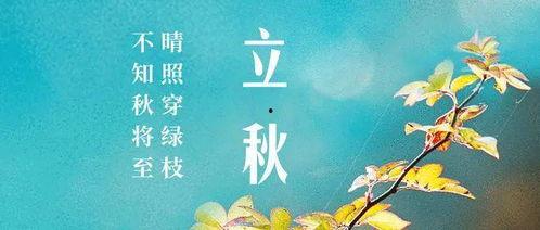 立秋后吃瓜谚语