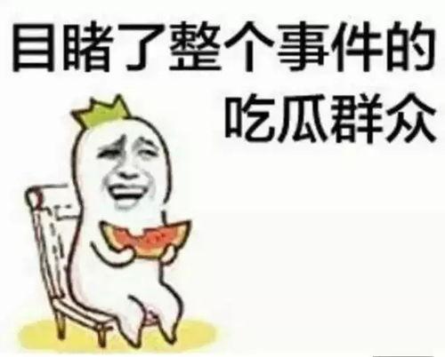 随时吃瓜群众,洞察社会百态
